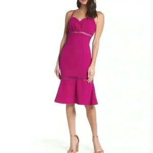 Anthropologie foxiedox fuchsia dress Nwt